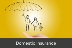 Personal and domestic insurance